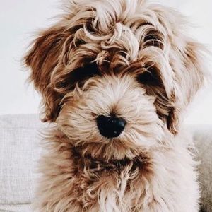 Meet your Posher, Madelynn